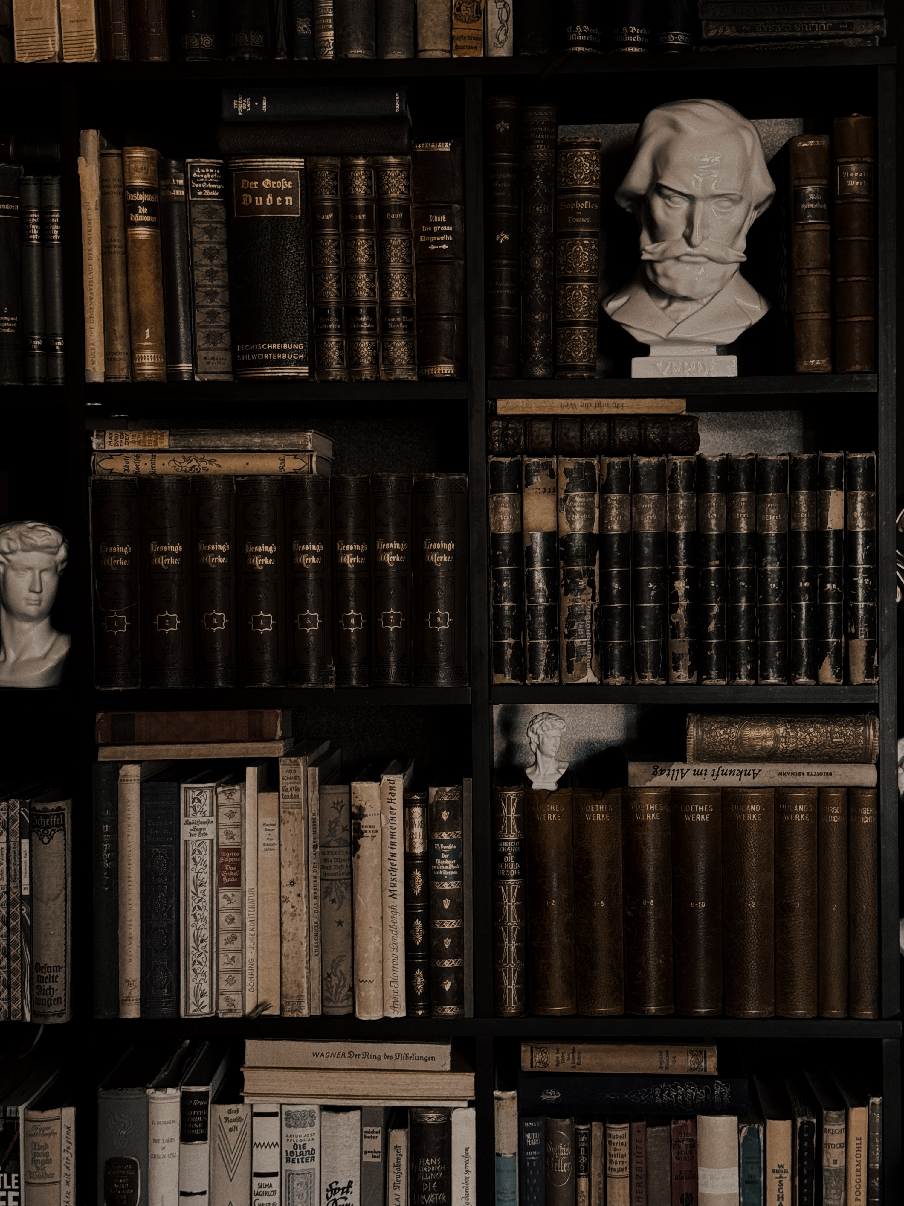 Classical library with vintage books and bust
